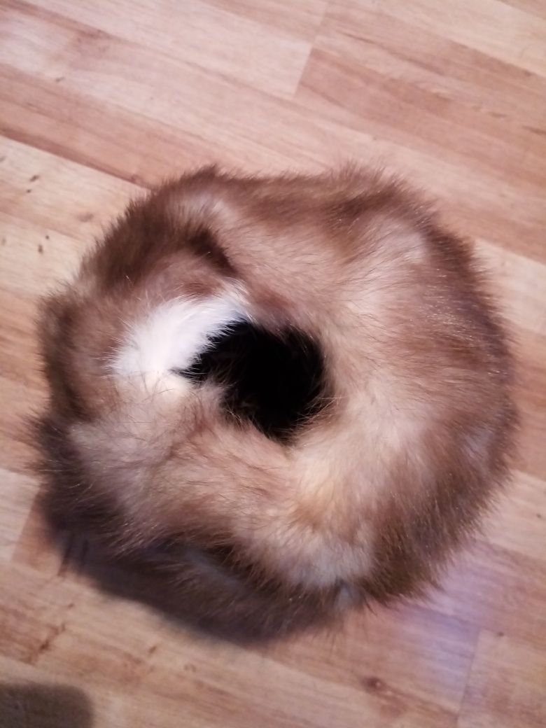 Torebka Mufka futro lis otwory na dłonie