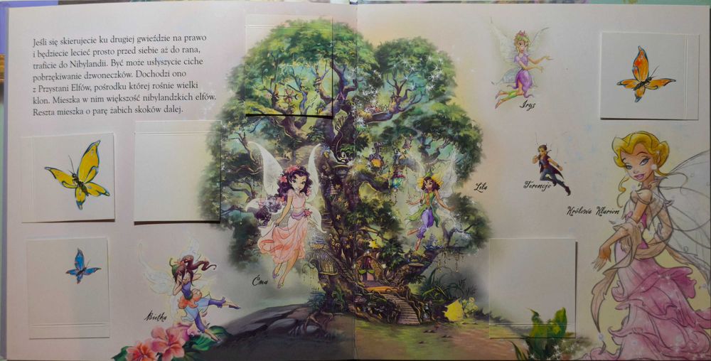 Disney Wróżki. Elfy z Nibylandii