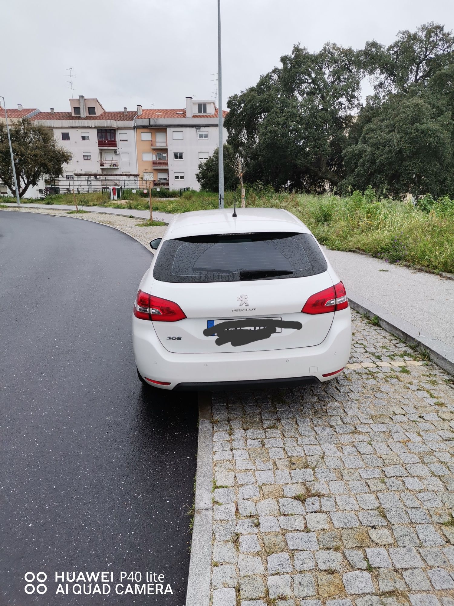 Peugeot 308 sw...