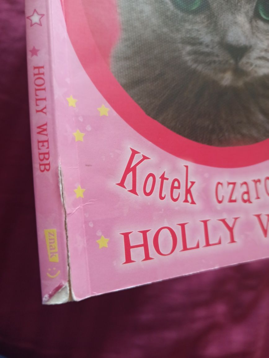 Książka Magic Molly