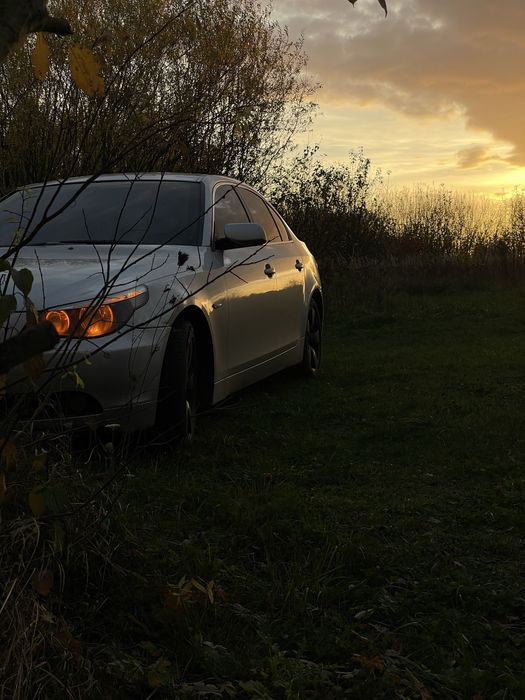 Bmw e60 2004 дорест