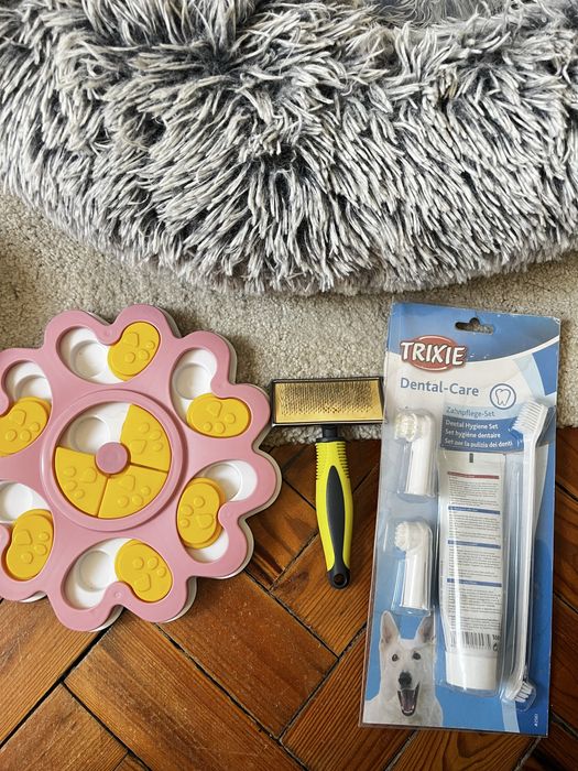 Ração para cão  Yorkshire