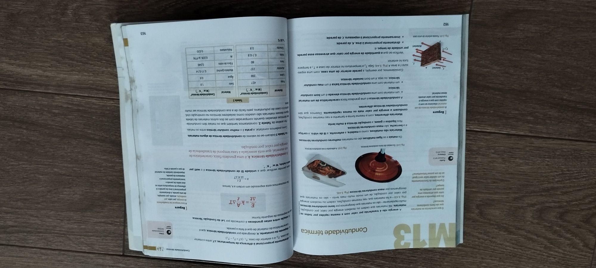 Manual e Caderno de Laboratório Física em ação 10° ano