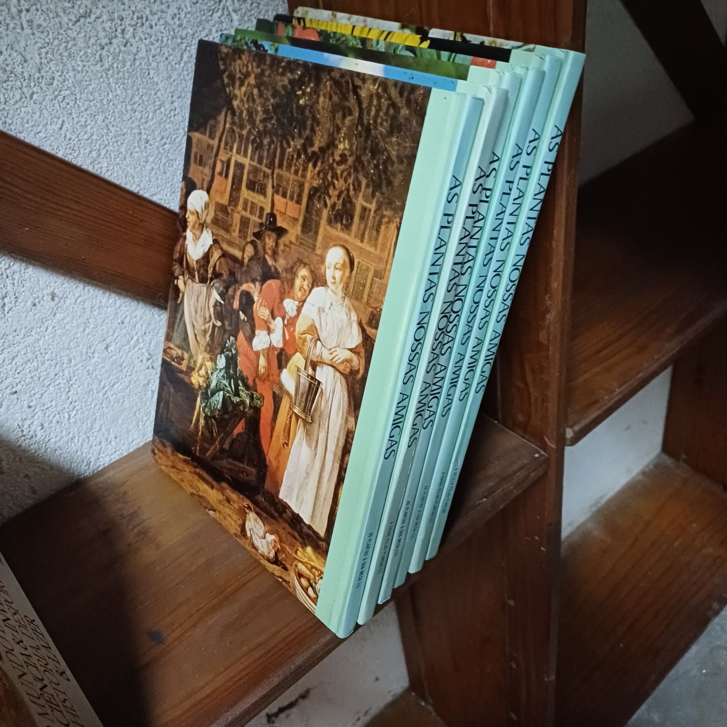 Livro sobre plantas e sua utilidade