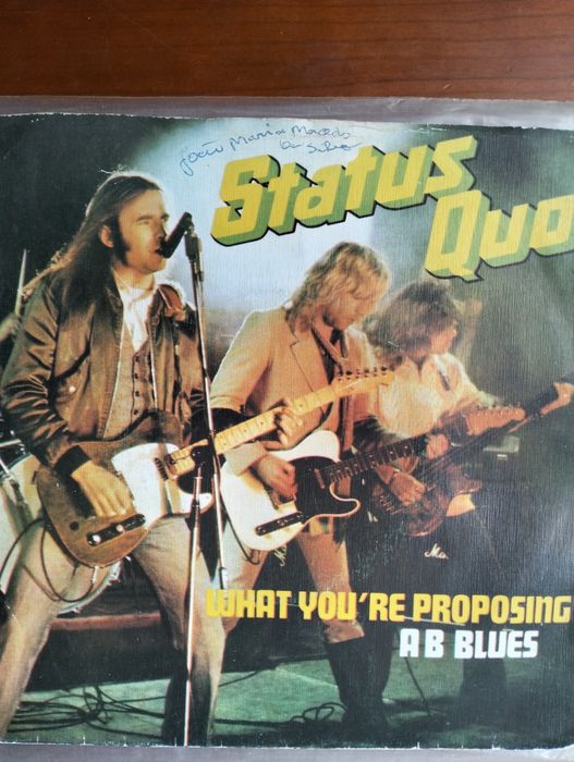 Single Status Quo - What You're Proposing