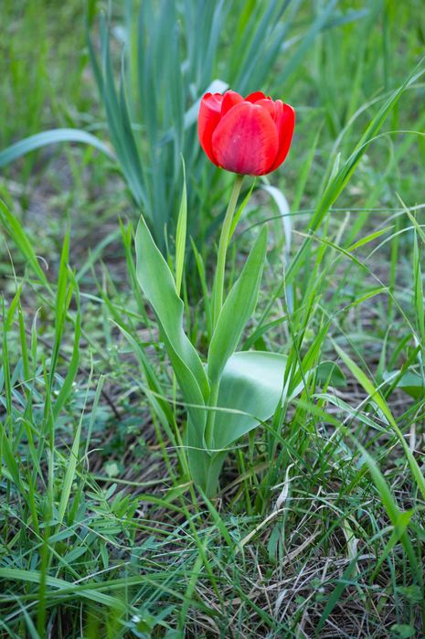 Продам Nikon AF Nikkor 70-210mm 1:4-5.6D MKII