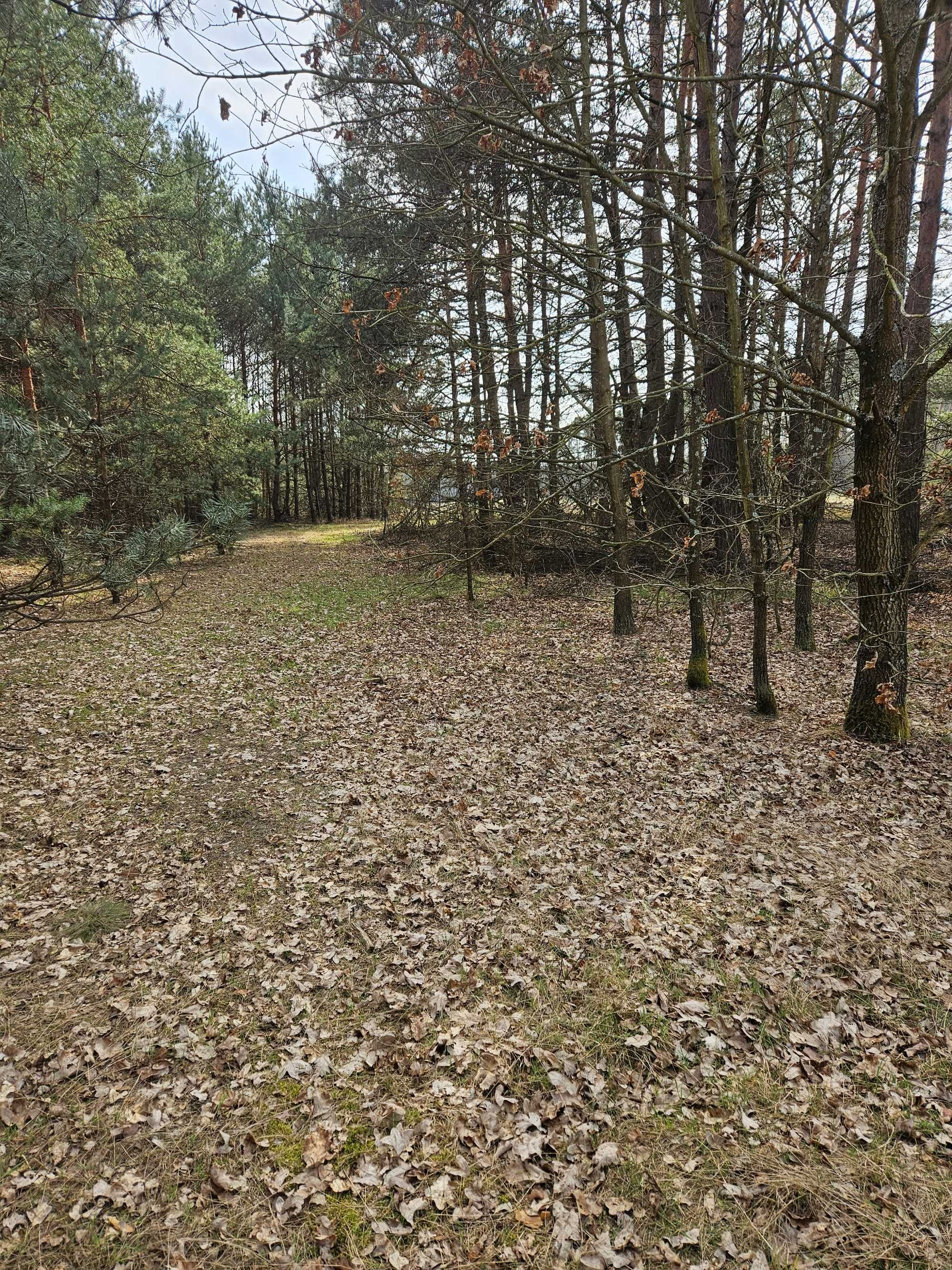 Sprzedam działkę rolną w Smykowie 2,13ha gm.Fałków pow.konecki