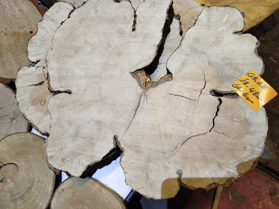 Plastry z drewna (Grab,Cis,Śliwa Węgierka, Czereśnia,Jesion,Buk,Brzoza