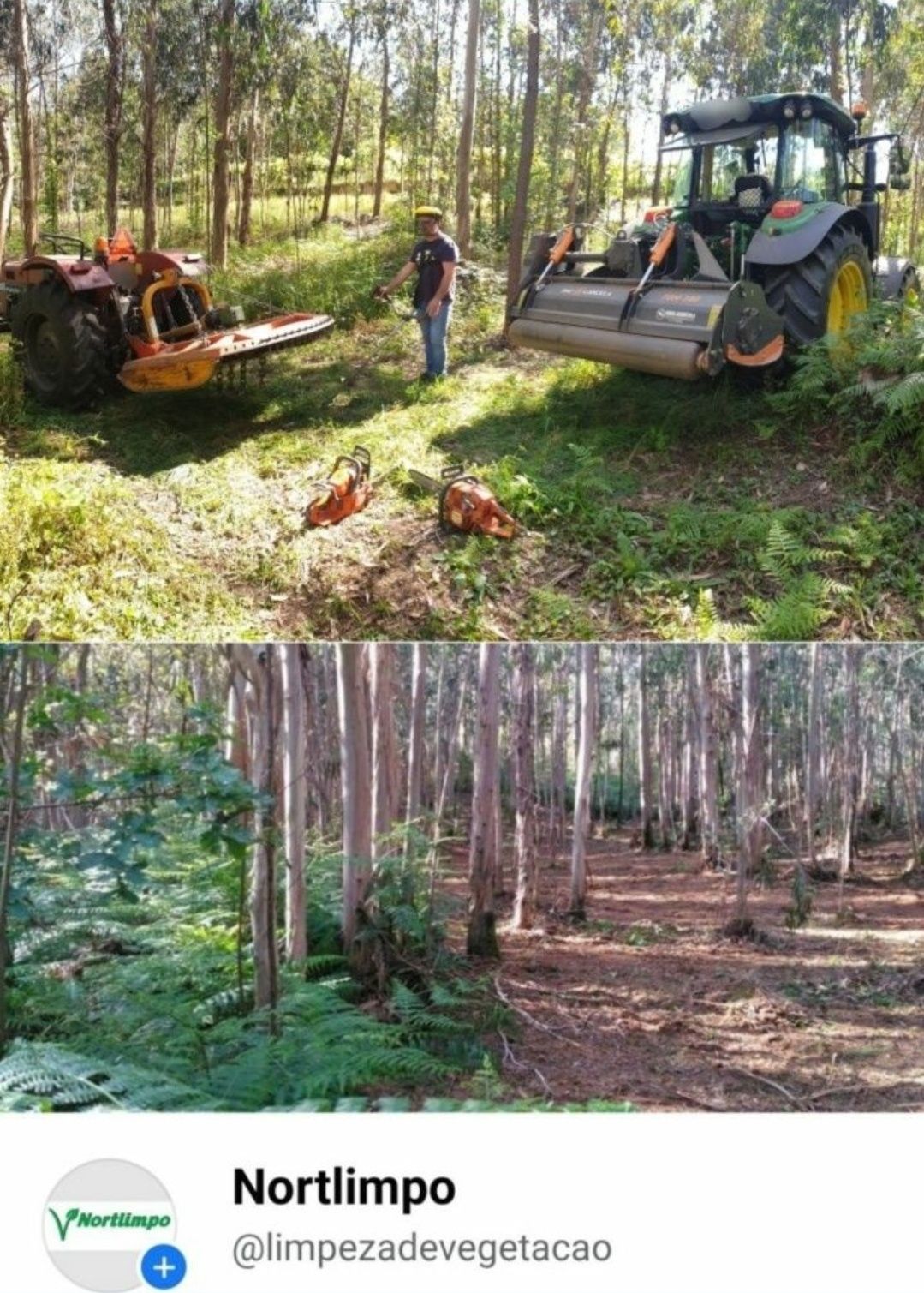 Limpezas de terrenos