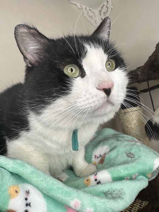 Боренька очень ищет любящую семью