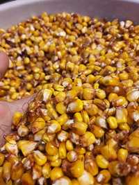 kukurydza idealna 7 zl za kg
