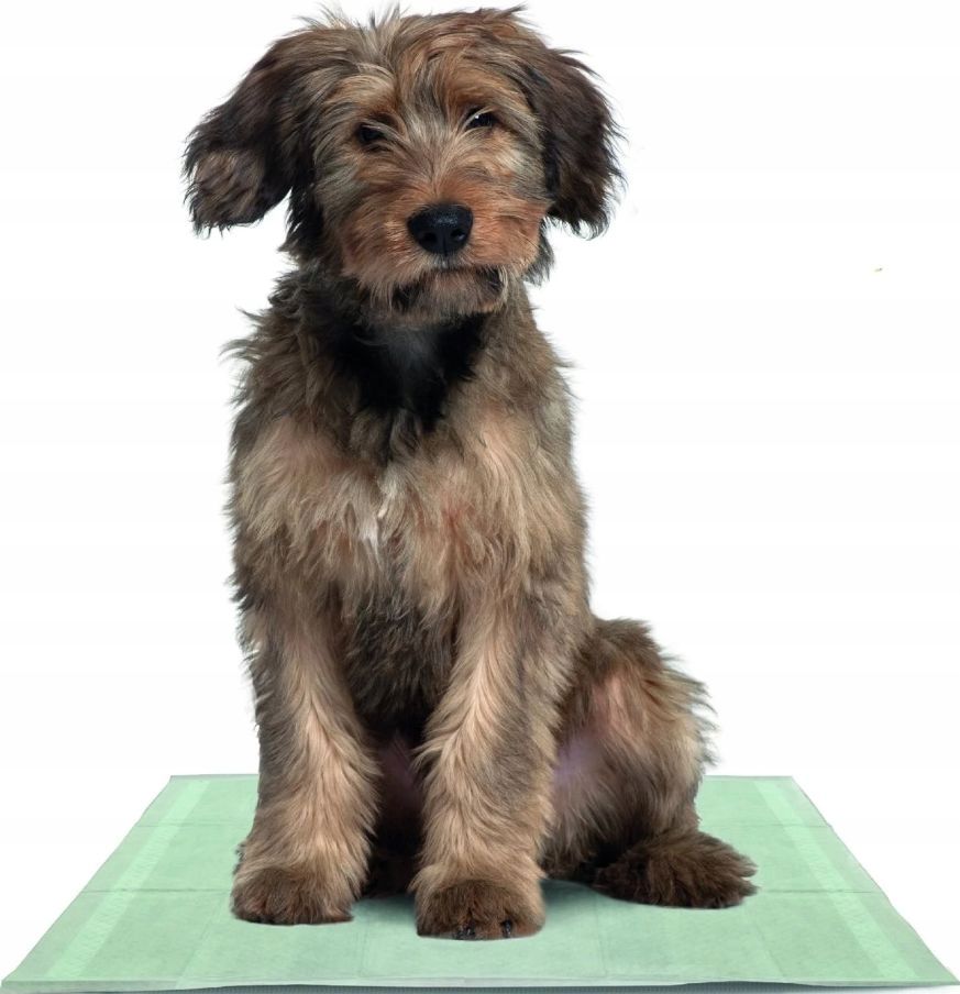 Ellie-Bo Maty Treningowe Dla Psa Aktywny Węgiel Drzewny 50Szt 60X54Cm