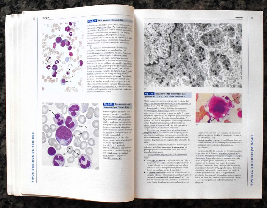 Wheater - Histologia Funcional (Texto e Atlas em Cores)