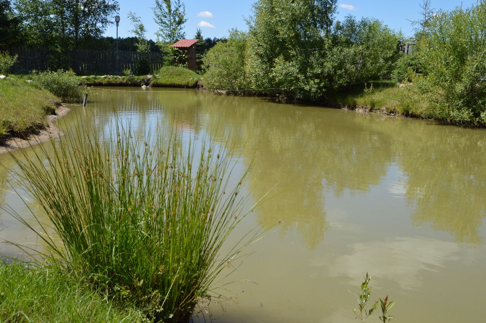 TWÓJ RAJ- Apartament /Pokoje* 30 km Białowieża* 2 km Zalew Siemianówka