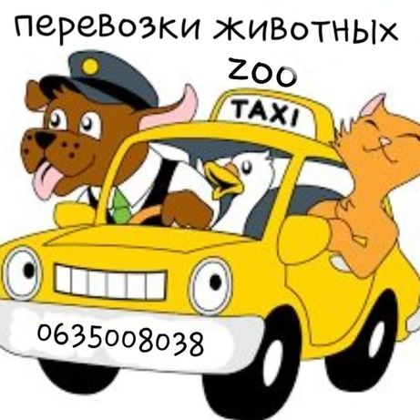 Зоо такси,перевозка животных