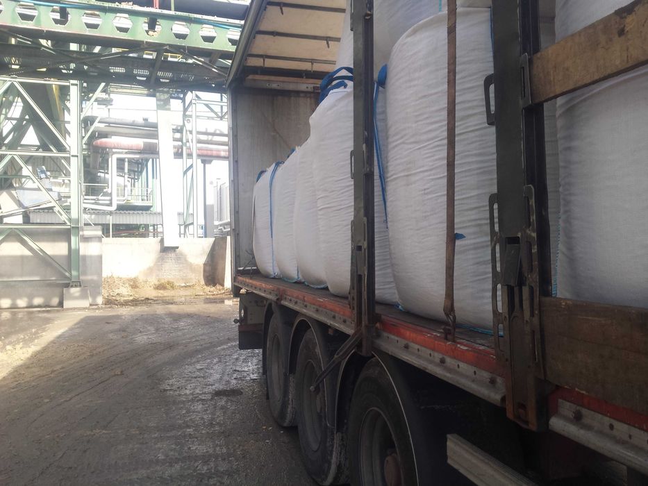 ZIARNO Lucerny Transport Kurierem Lucerna Oczyszczone Nasiona Lucernę