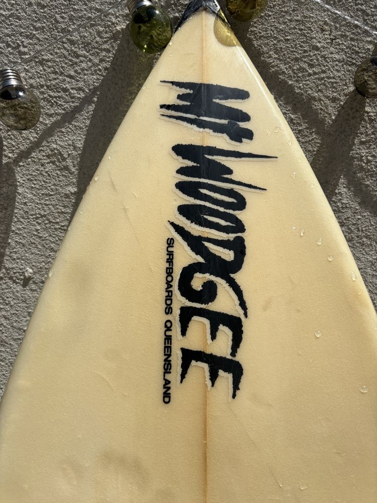 Mt Woodgee Surfboard