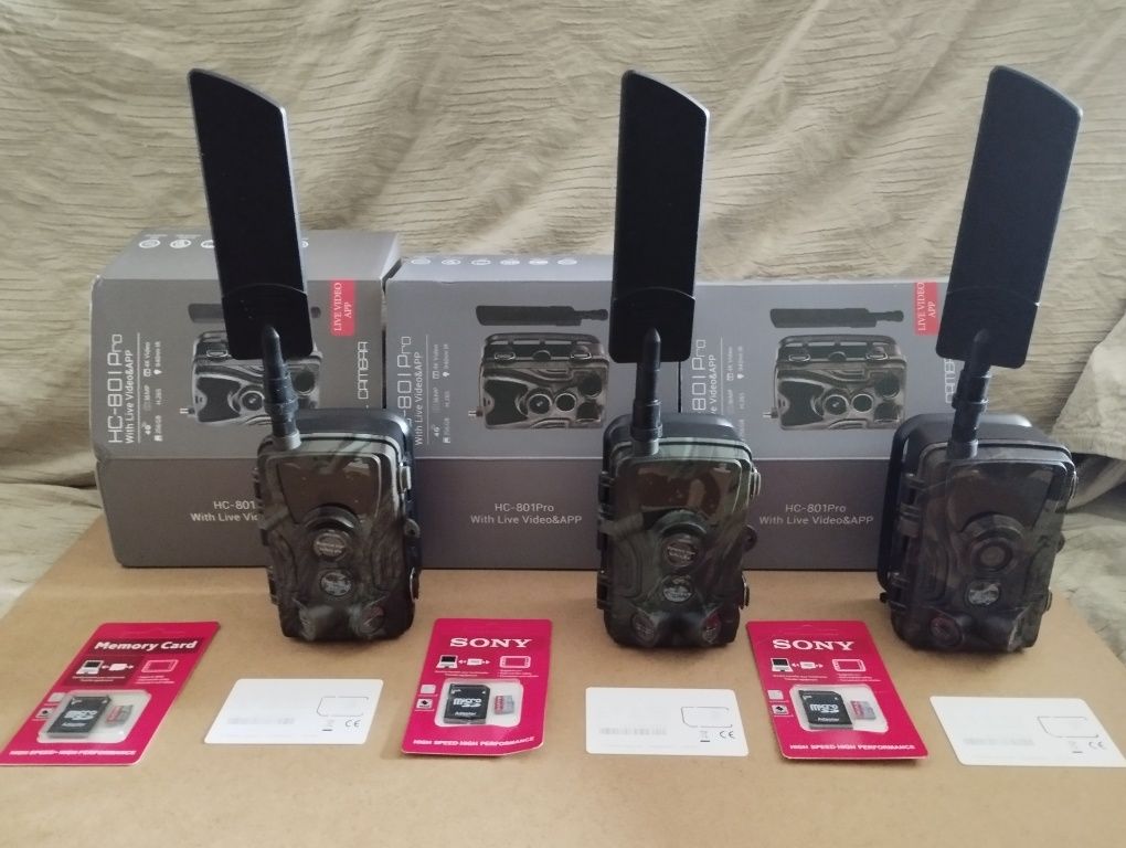 Camara de Caça 4G -. Vídeo em direto