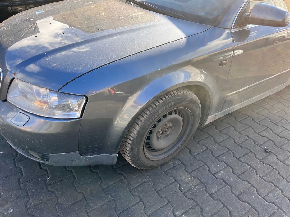 Audi A4 B6 lampy błotniki drzwi Kod lakieru LX7Z