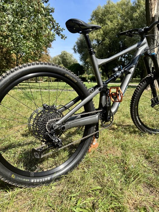 specialized status 160