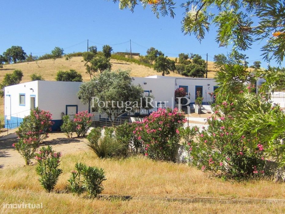 Herdade com 21ha perto do Lago Alqueva