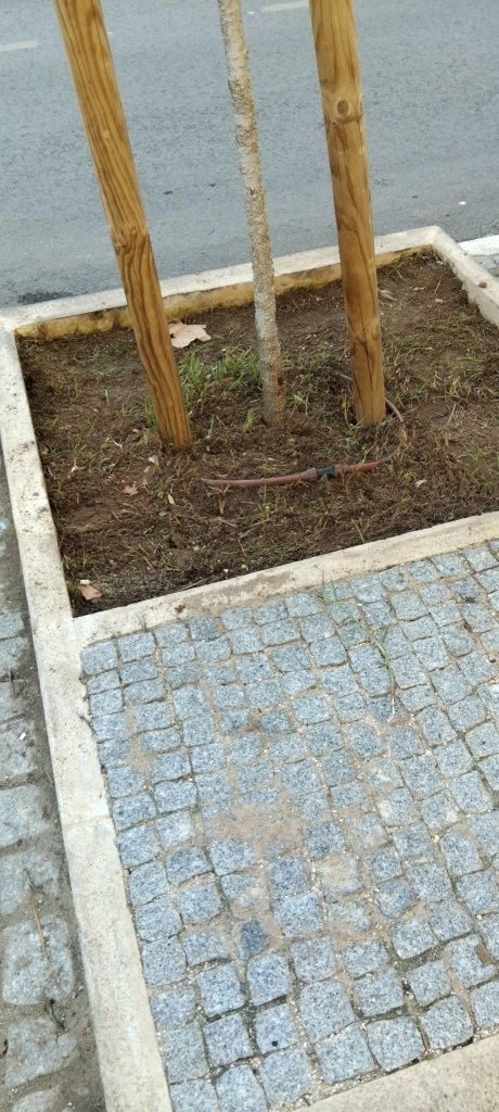 Limpeza de terrenos e pátios