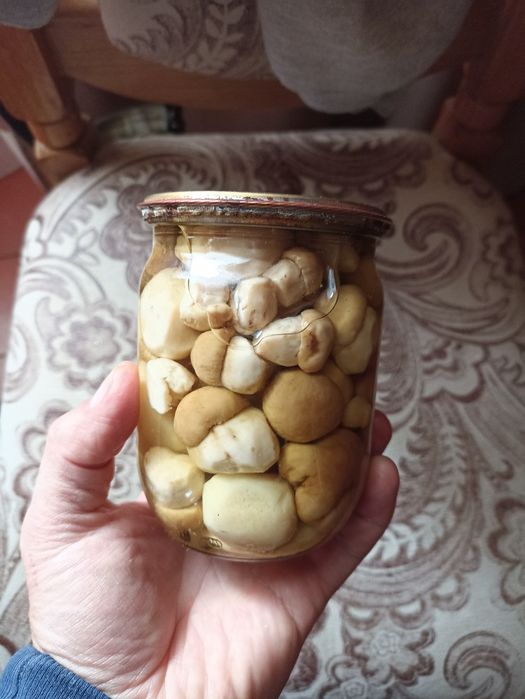Гриби БІЛІ ціленькі мариновані та сушені