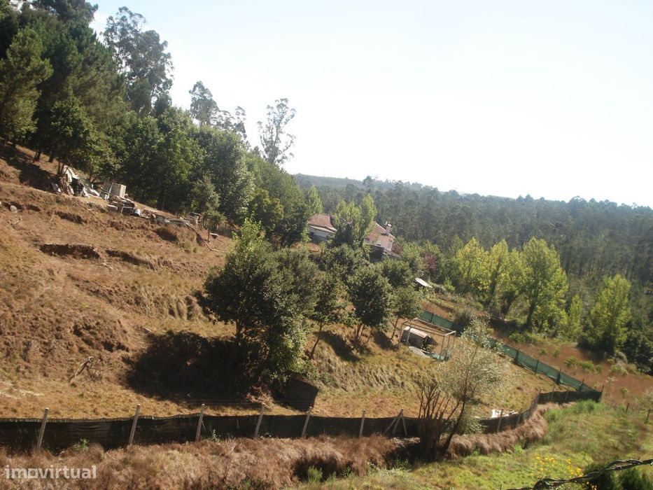Terreno com 5800 m2 em Pigeiros, Santa Maria da Feira