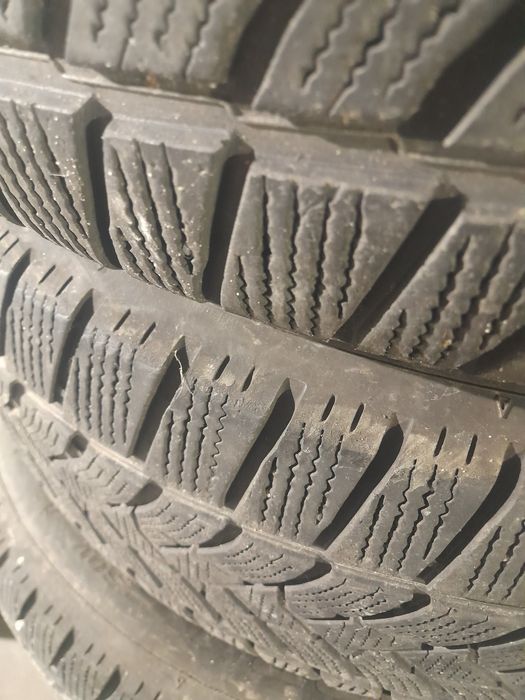 продам ризина 2500