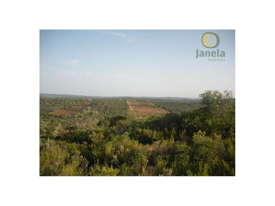Terreno com 17,5 hectares com boa aptidão agrícola