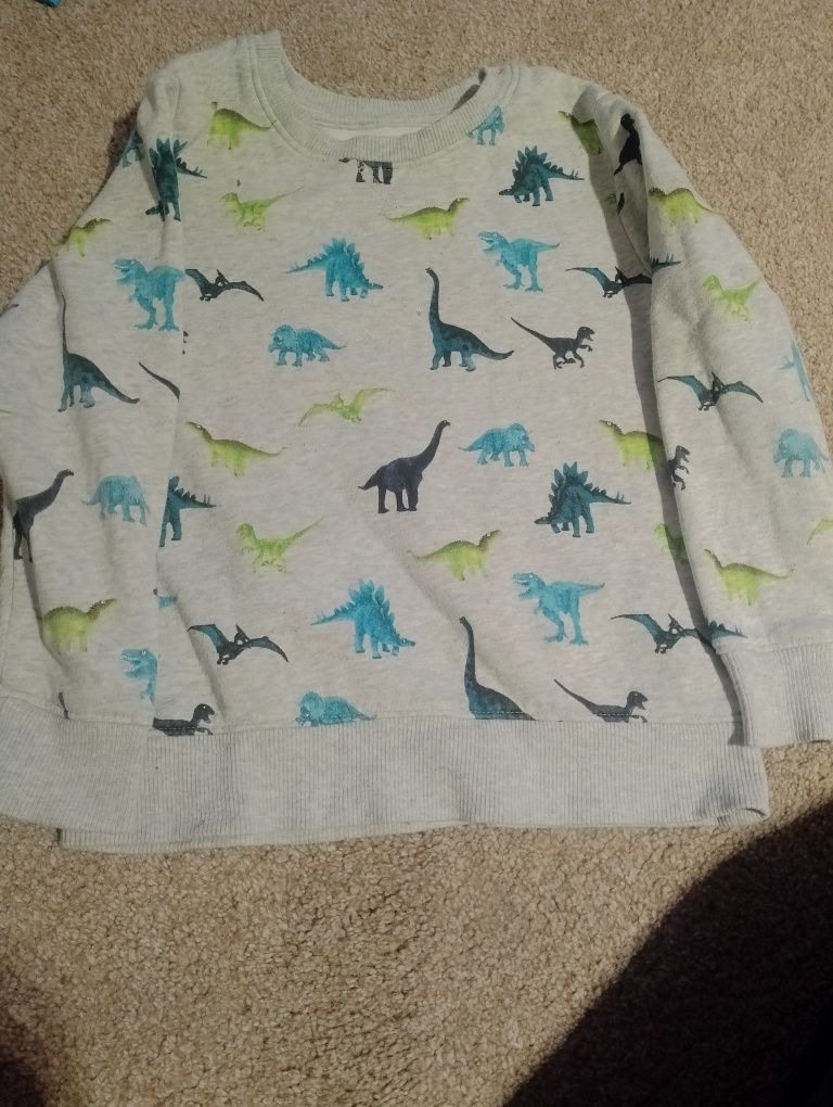 Bluza chłopięca w dinozaury