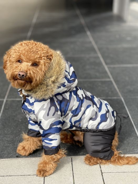 Одяг для собак опт, одяг для тварин оптом, одежда для собак