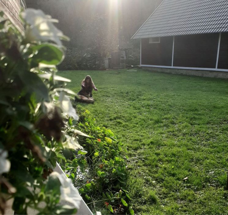 Яремче оренда котеджа подобово Котедж2 «Біля водоспаду» для 2-4х осіб