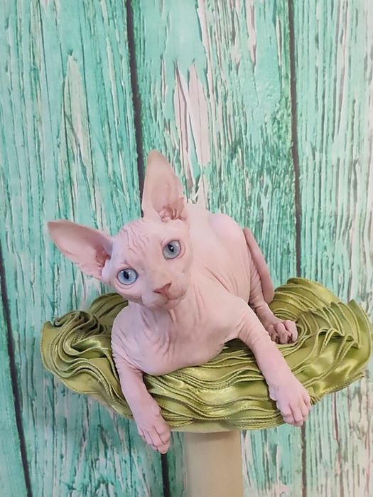 Голубоокий блондин