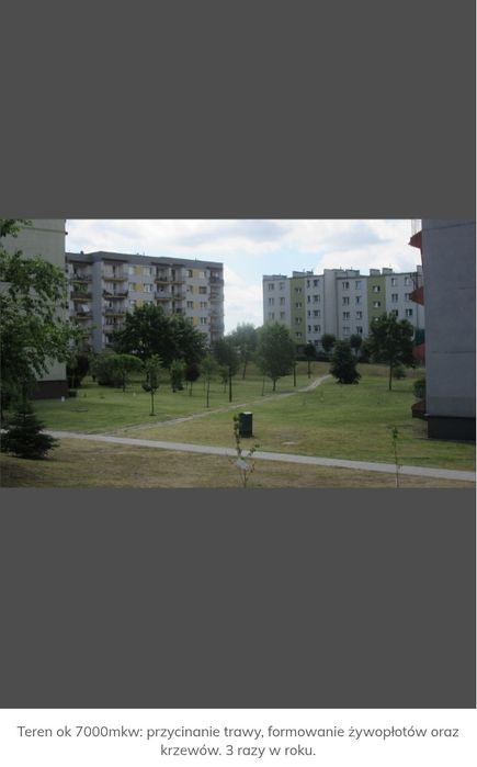 Koszenie trawy, Wycinka drzew