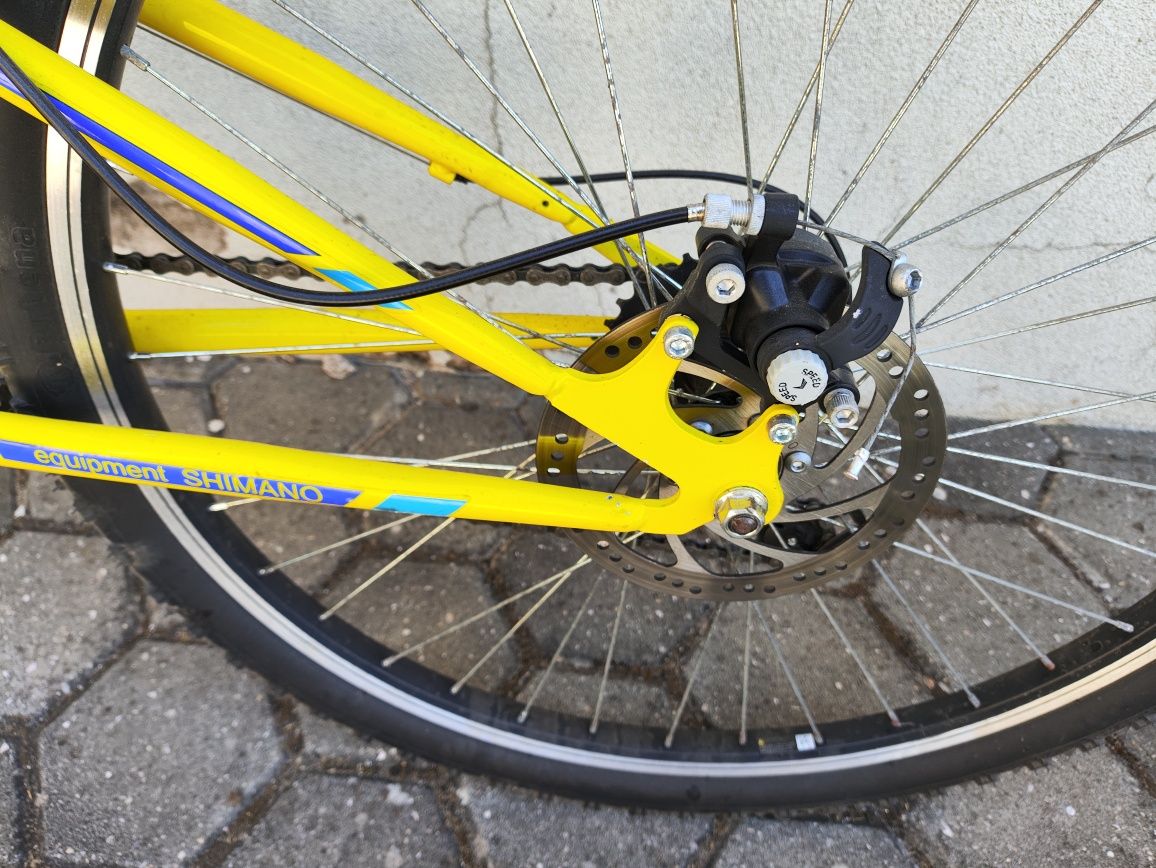 Bicicleta TEAM 26