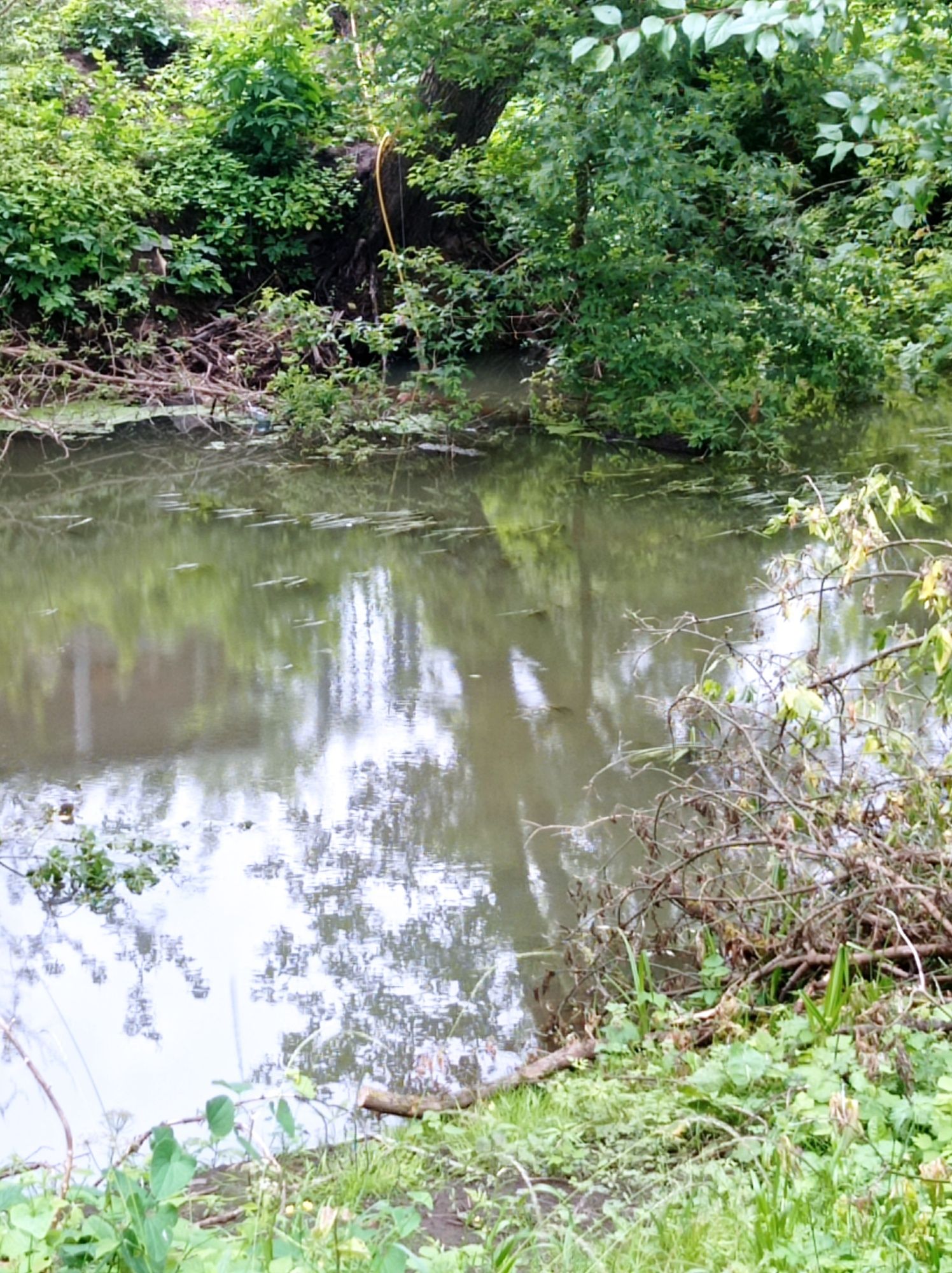 Дача у самого водоёма. Старый Белоус. 300м  остановка общ. транспорта.