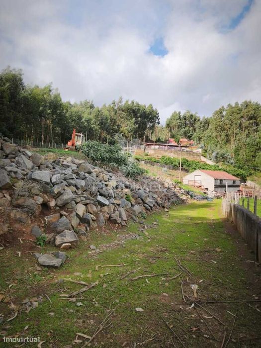 Vendo Quinta Na Camacha Com  (12.000 M2)