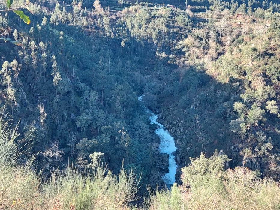 Quartos para arrendar próximo a Oliveira de frades e das cachoeiras