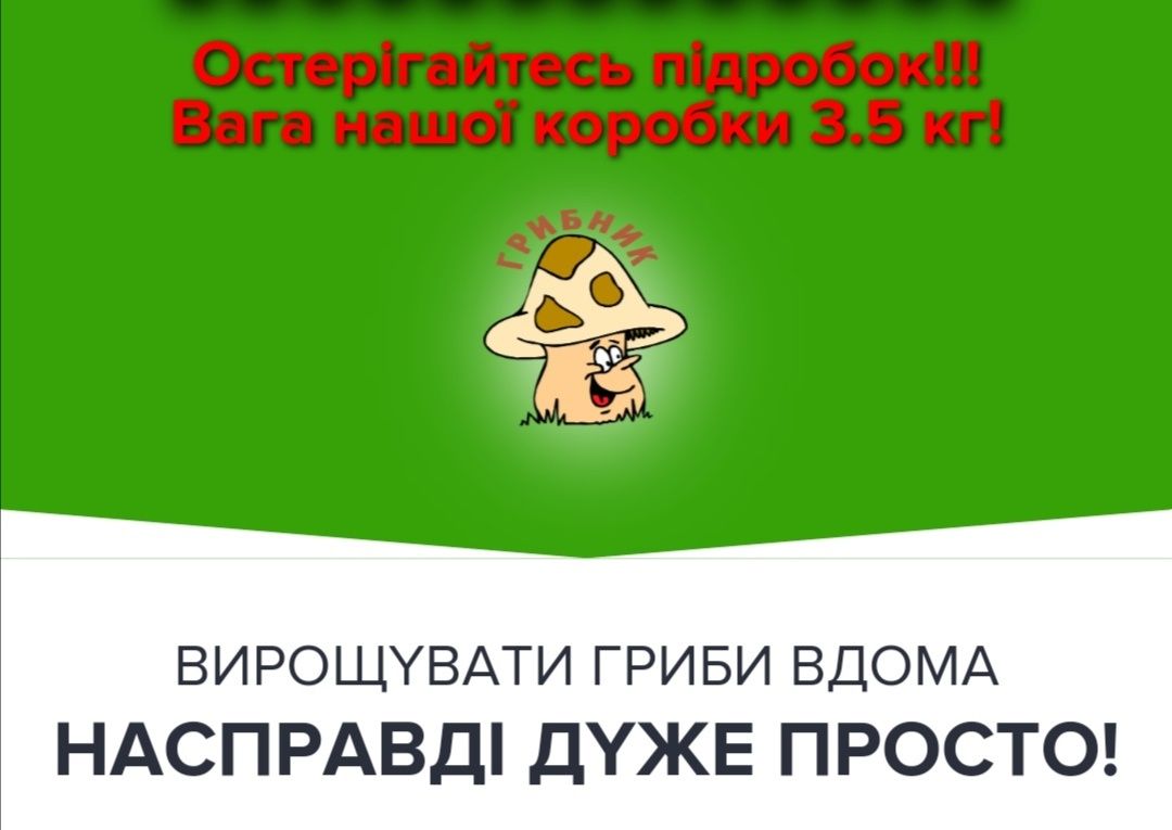 Вирощував грибочків шампіньйонів печериць