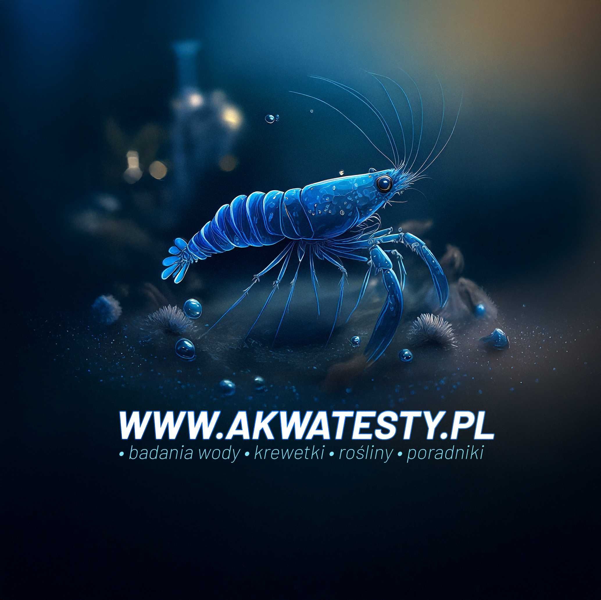 Badanie wody w akwarium (fotometryczne) bardzo dokładne - 5 zł