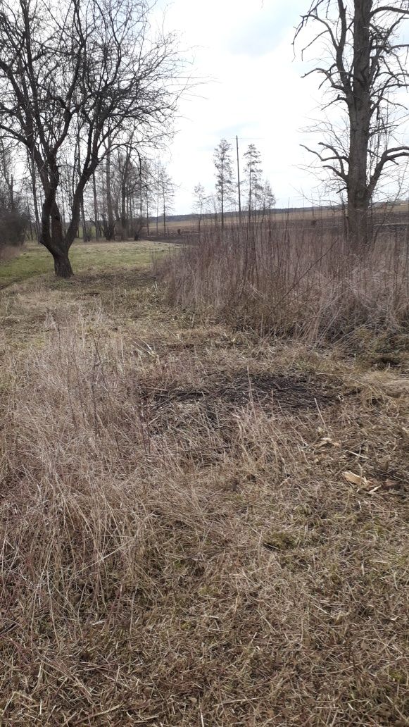 Koszenie trawy ,wykaszanie nieużytków,wycinka krzaków ,rębak do gałęzi