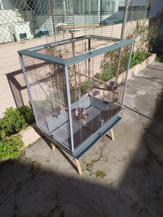 Gaiola para papagaio