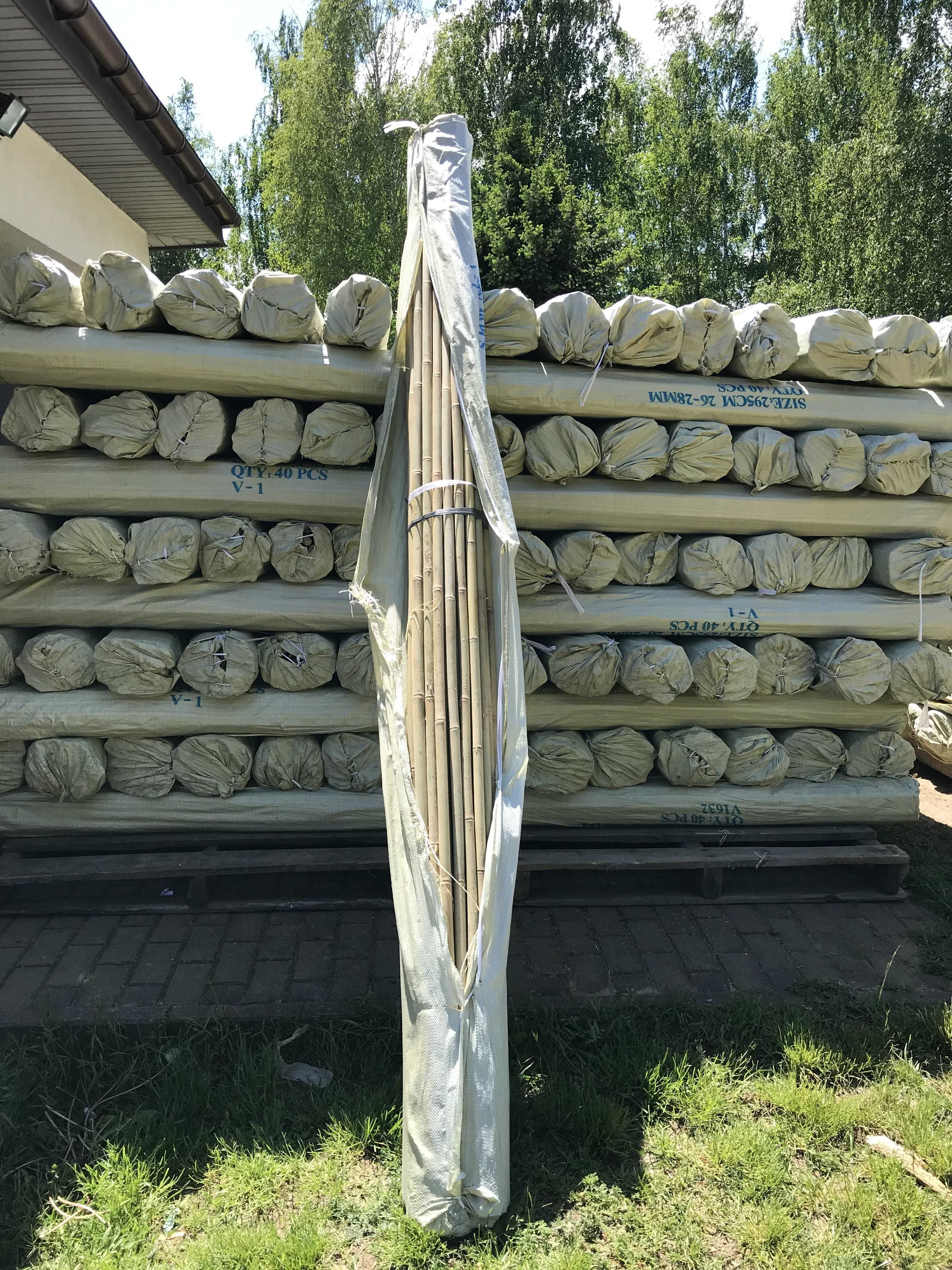 Tyczka bambus - sadownicza tyczki bambusowe 28/30mm 295cm  GRUBE