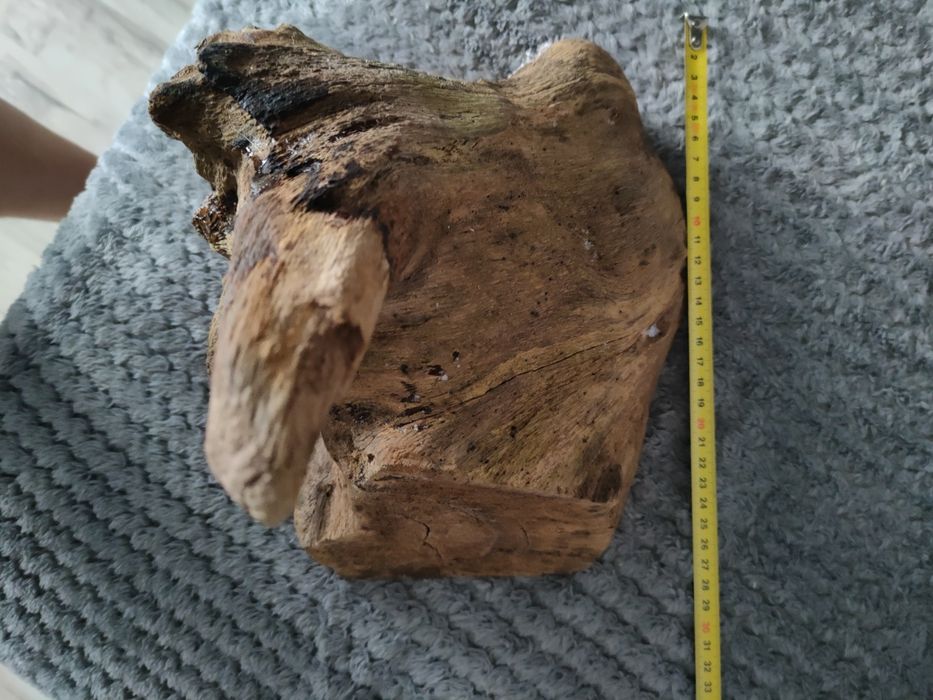 Korzeń do akwarium lub terrarium