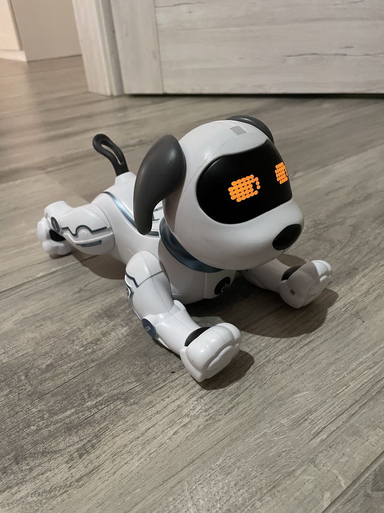 Interaktwny pies robot