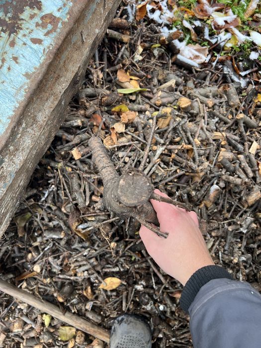 Дробілка для гілок січкарня