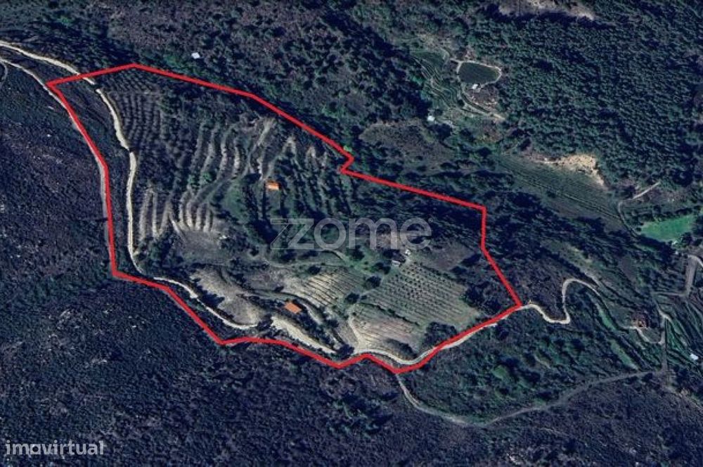 Terreno com 6 hectares