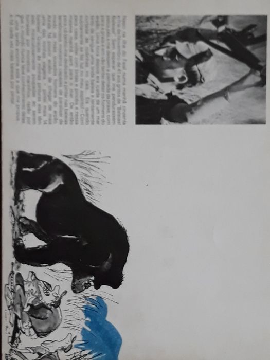 Livro cartoonista Augusto Cid "Que se passa na frente?!! "