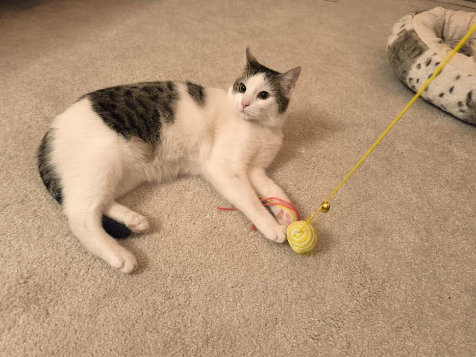 Od 4 tygodni liczymy na cud, że ktoś ją pokocha...